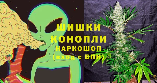 MESCALINE Осинники