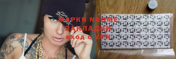 гашик Пестово
