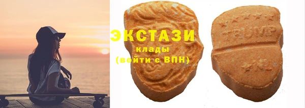 гашик Пестово