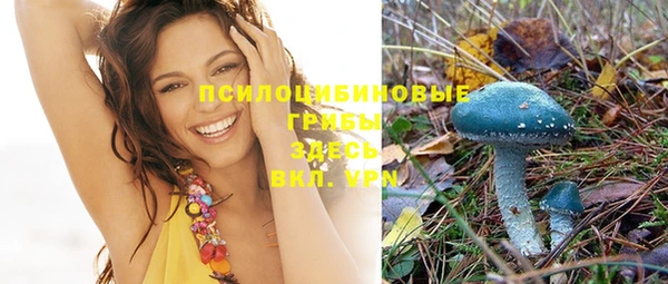 твердый Переславль-Залесский