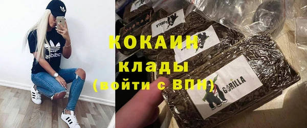 гашик Пестово