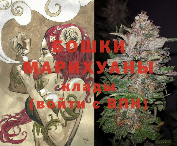 гашик Пестово