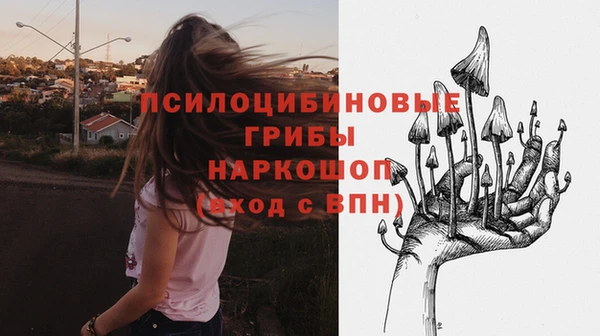 твердый Переславль-Залесский