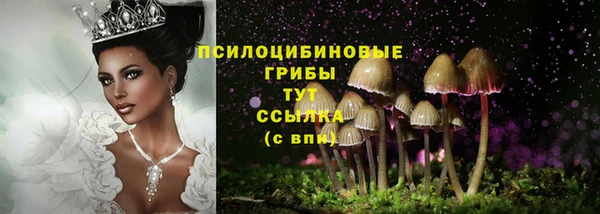шишки Остров