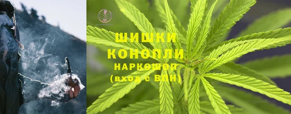 гашик Пестово