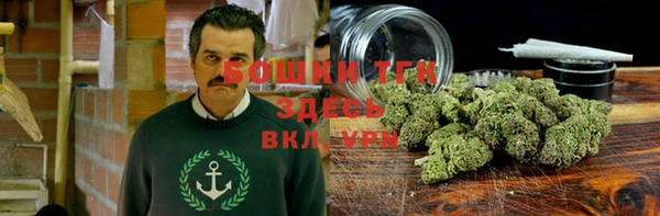 гашик Пестово