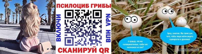 mega рабочий сайт  мориарти Telegram  Псилоцибиновые грибы прущие грибы  Клин 