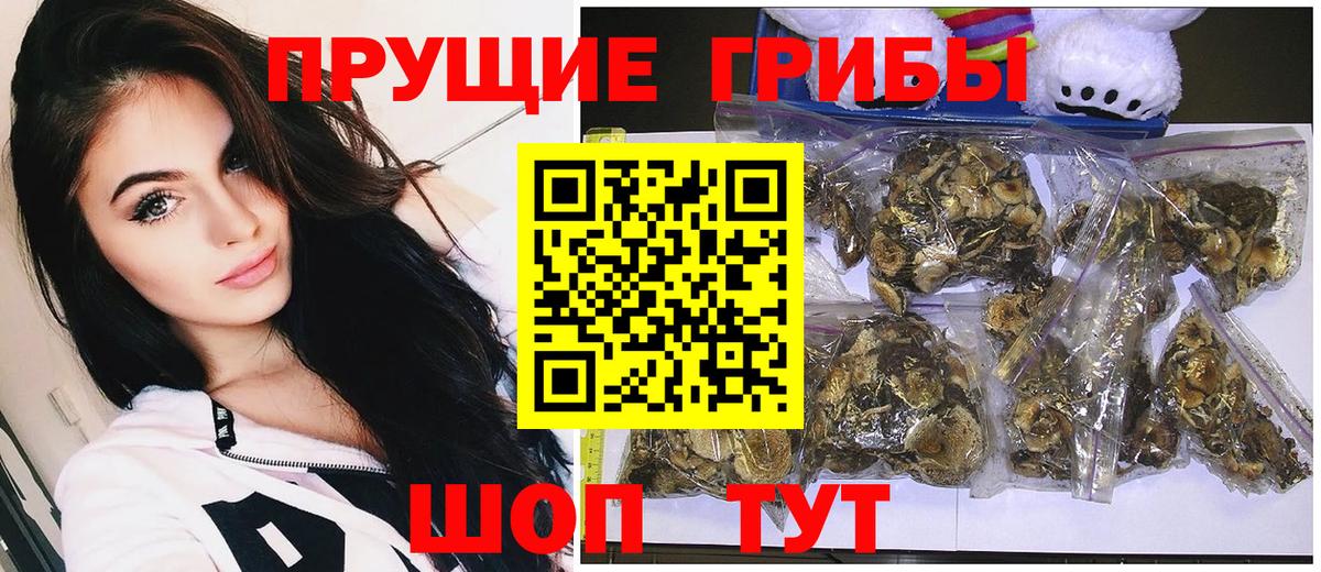 Галлюциногенные грибы Psilocybine cubensis Клин